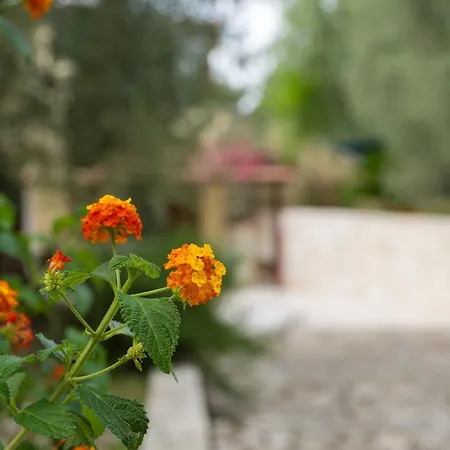 La Vigna Bed & Breakfast Peschici