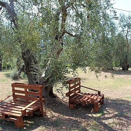 La Vigna Alojamento de Acomodação e Pequeno-almoço Peschici