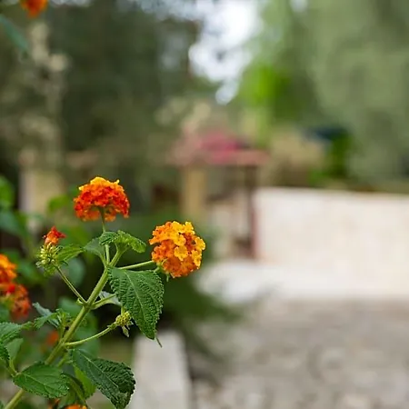 La Vigna